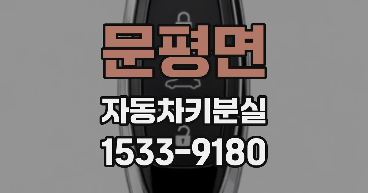 문평면 자동차키분실