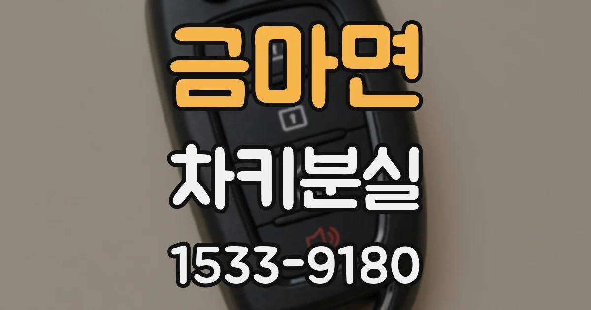 금마면 차키분실