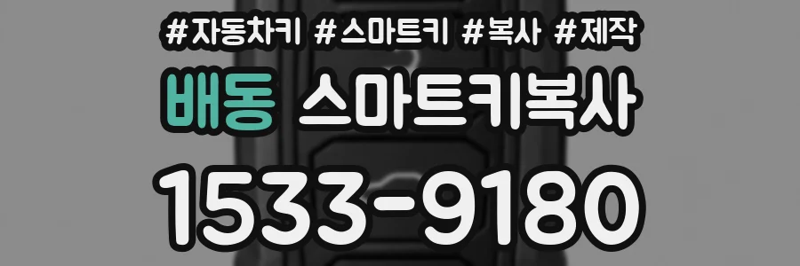 배동 스마트키복사