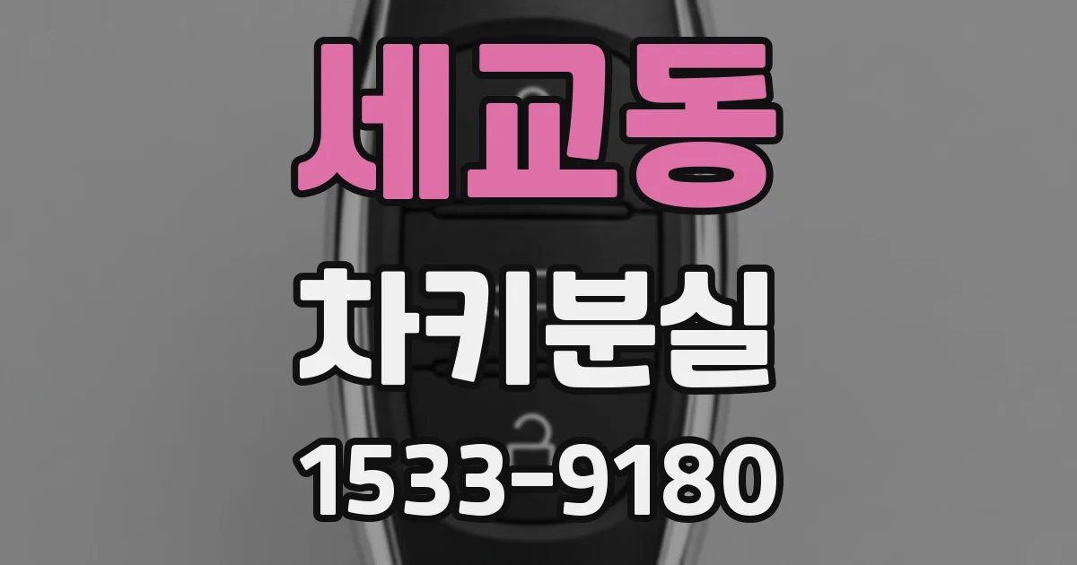 세교동 차키분실