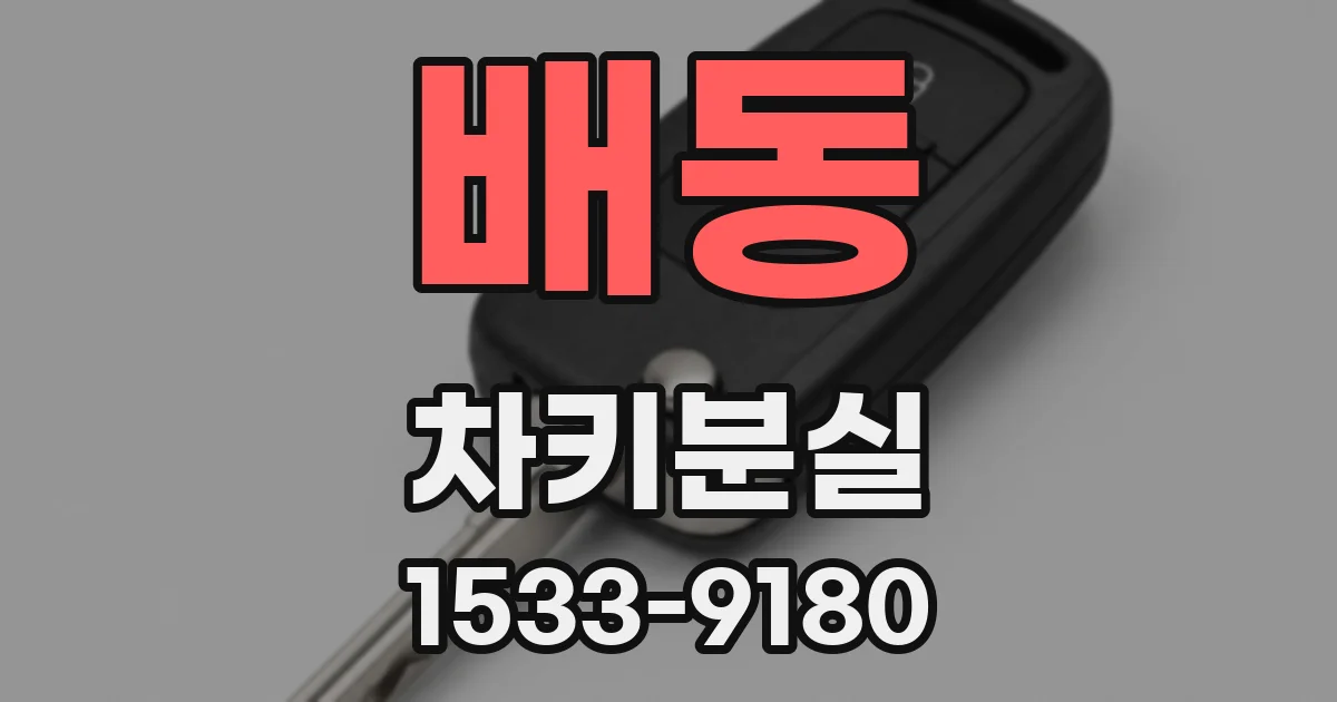 배동 차키분실