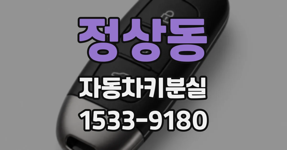 정상동 자동차키분실