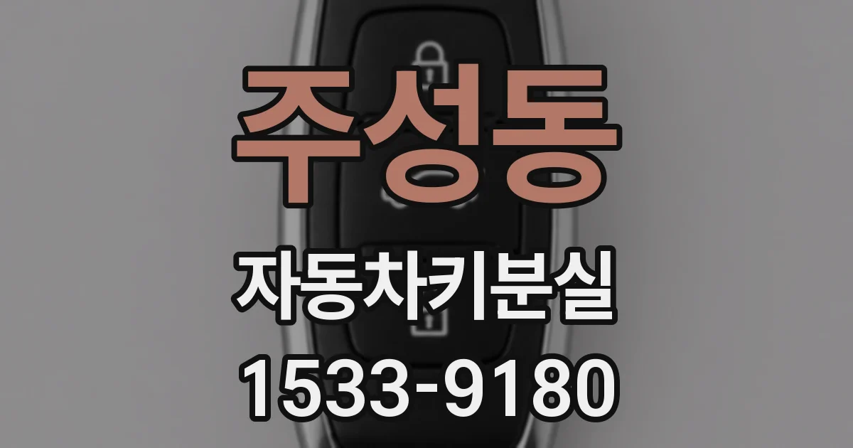 주성동 자동차키분실