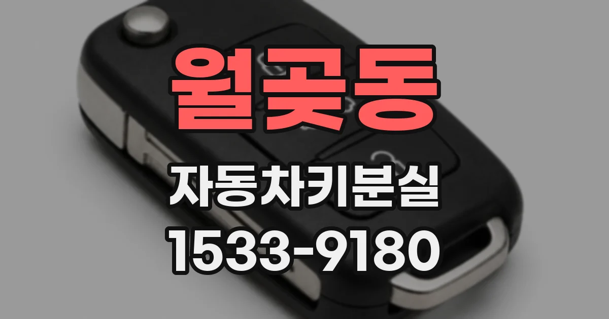 월곶동 자동차키분실