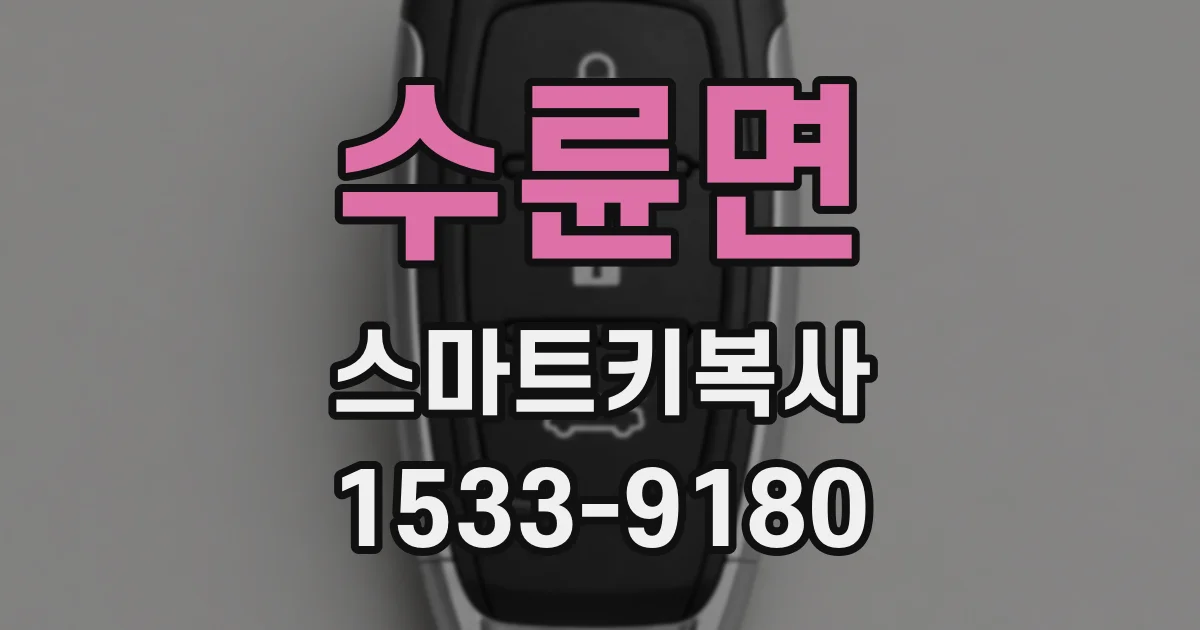 수륜면 스마트키복사