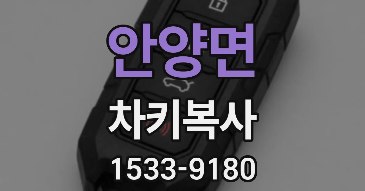 안양면 차키복사