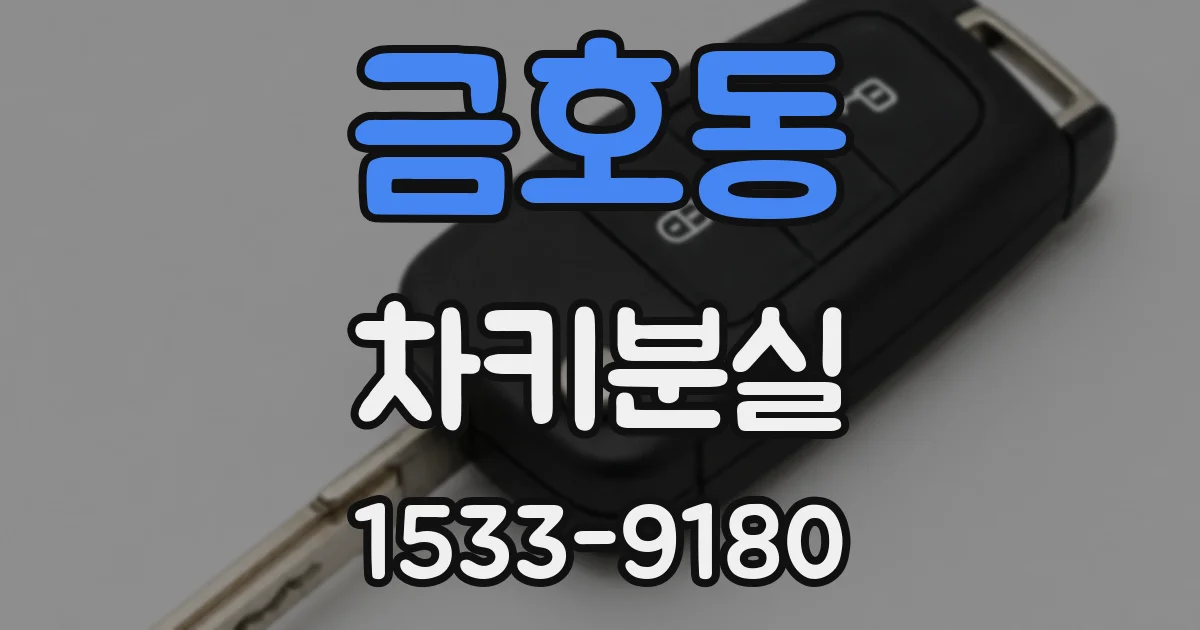 금호동 차키분실
