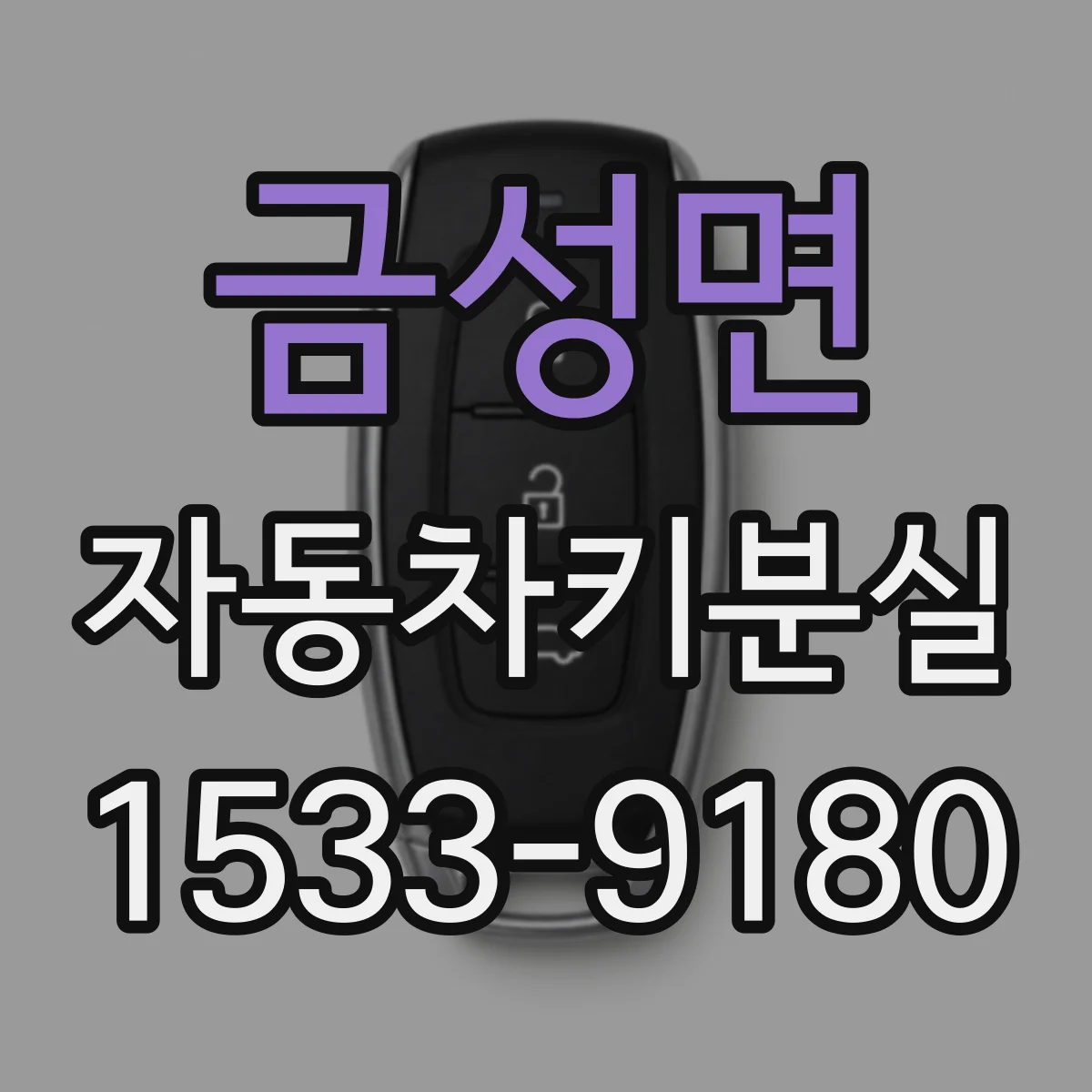 금성면 자동차키분실
