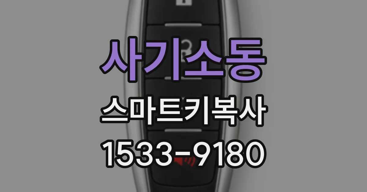 사기소동 스마트키복사
