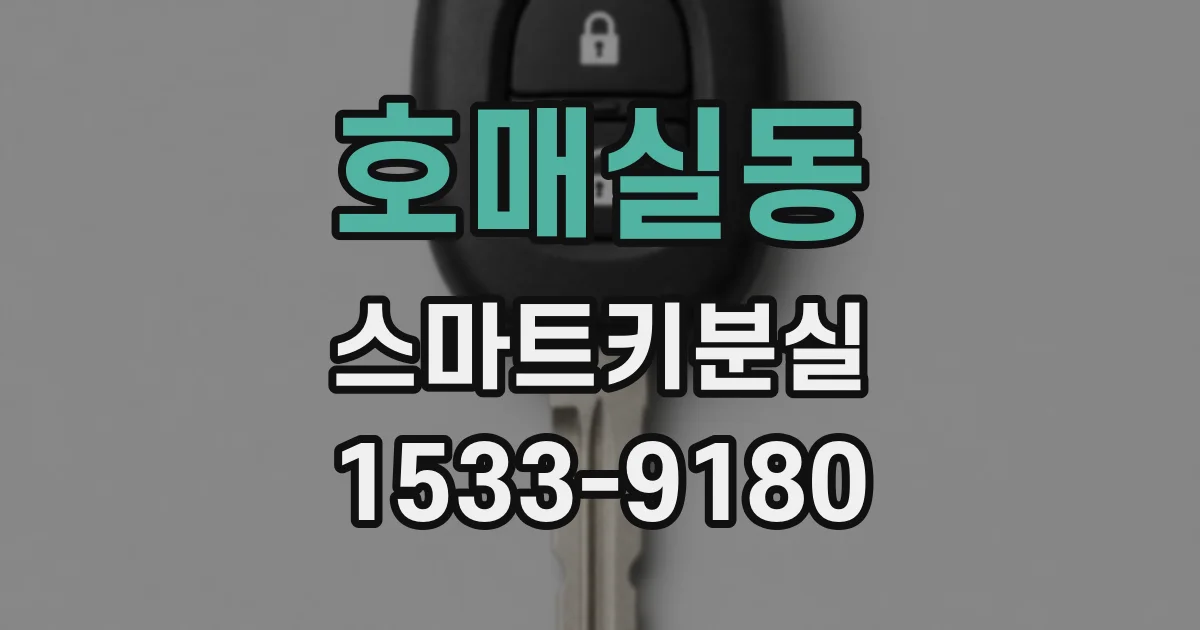 호매실동 스마트키분실