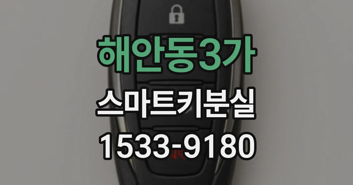 해안동3가 스마트키분실