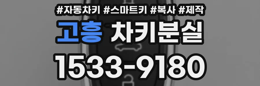 고흥 차키분실