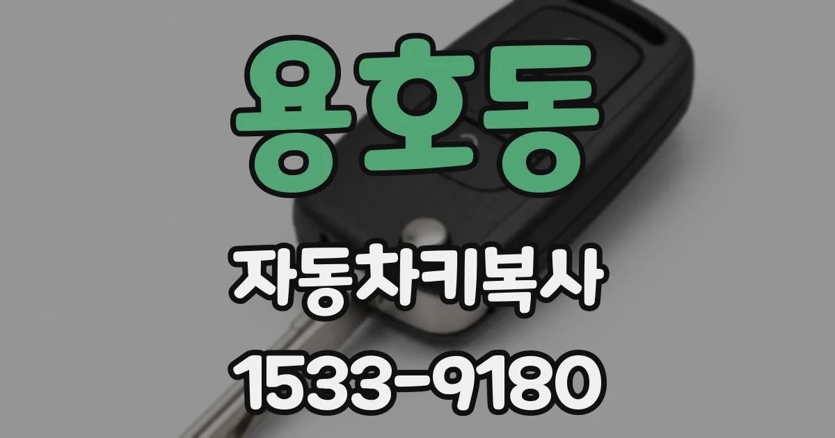 용호동 자동차키복사