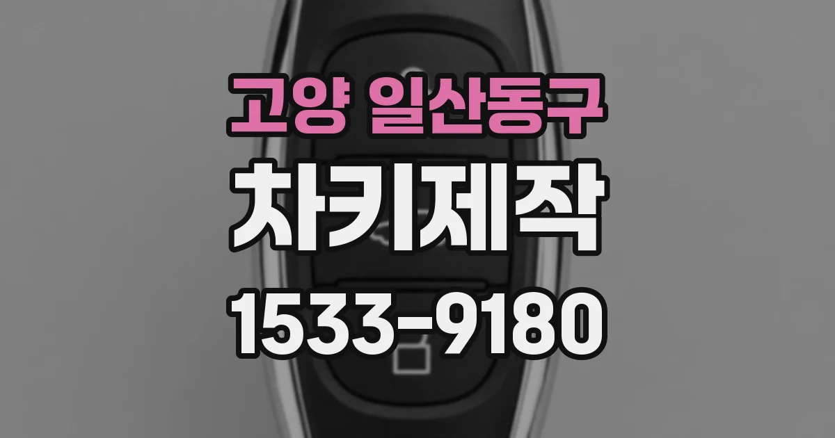 고양 일산동구 차키제작