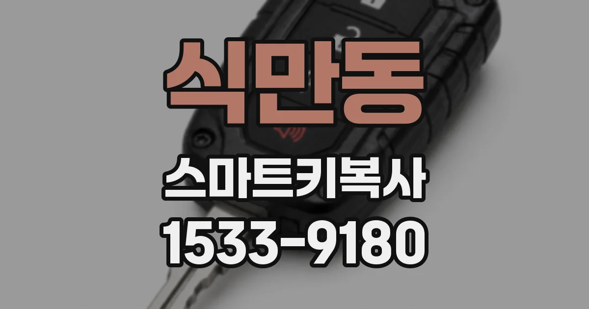 식만동 스마트키복사