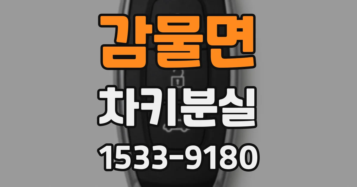 감물면 차키분실