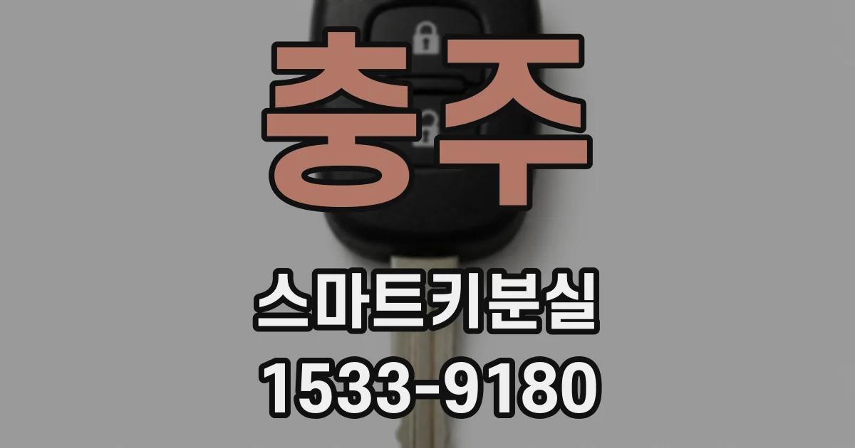 충주 스마트키분실