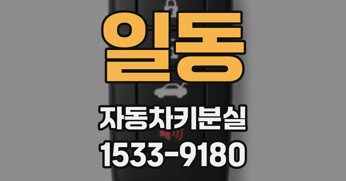 일동 자동차키분실
