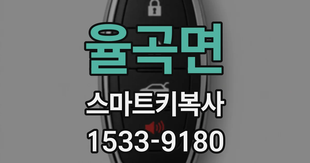 율곡면 스마트키복사