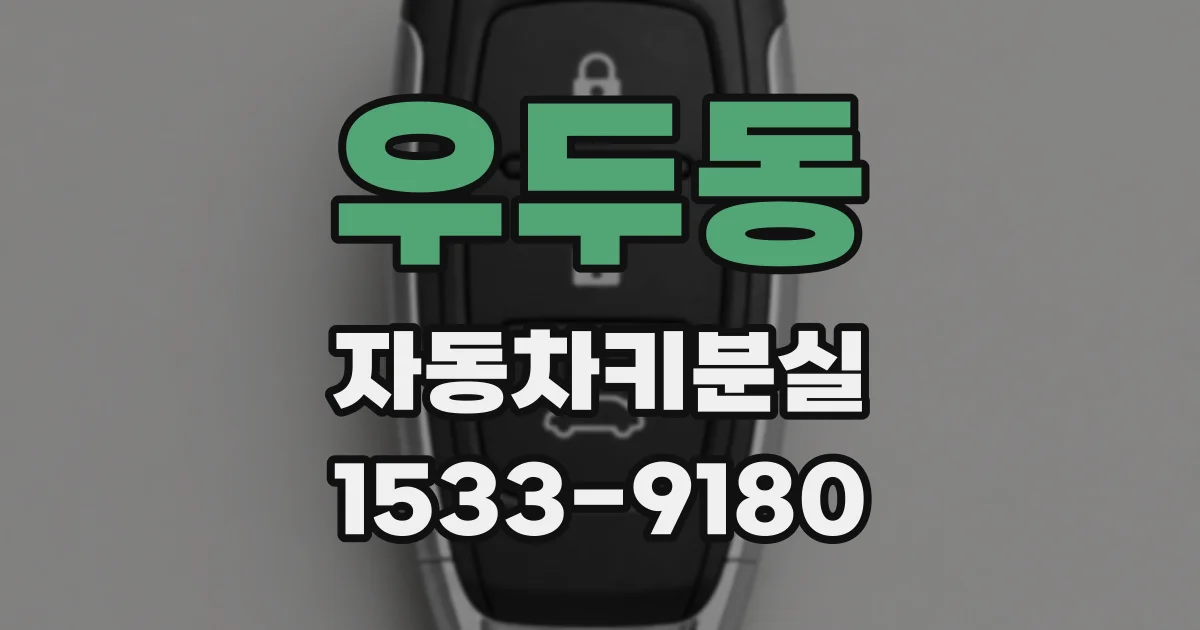 우두동 자동차키분실