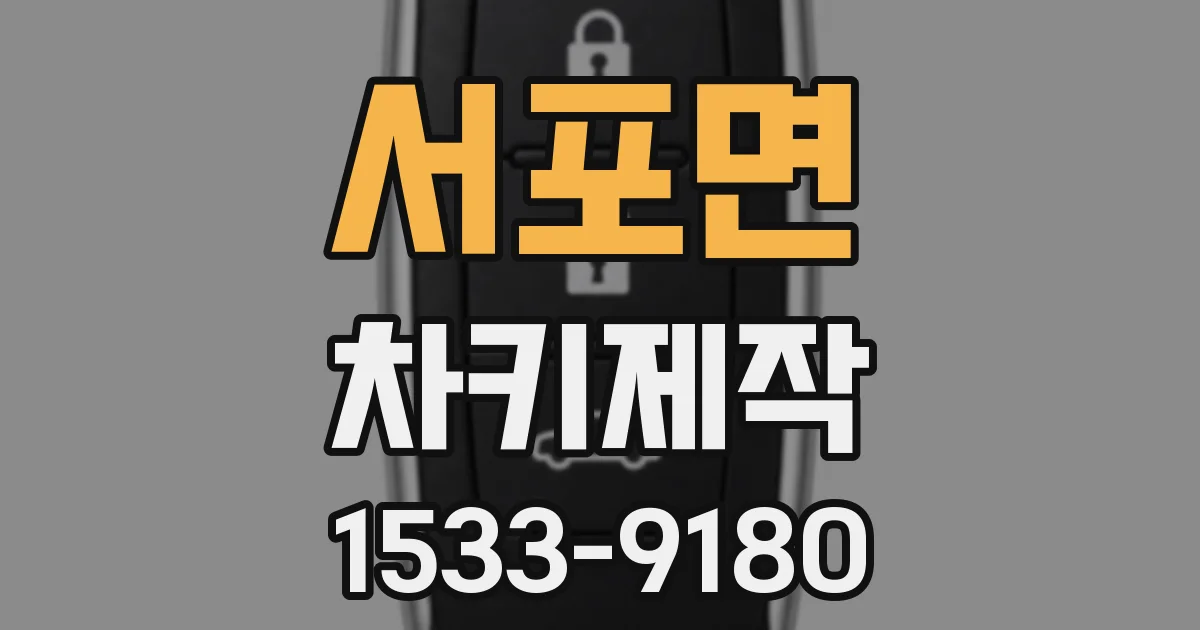 서포면 차키제작