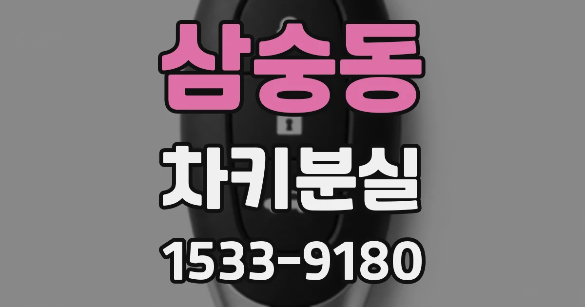 삼숭동 차키분실