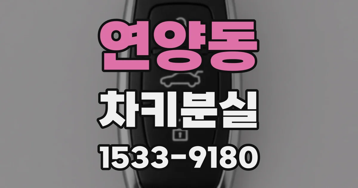 연양동 차키분실