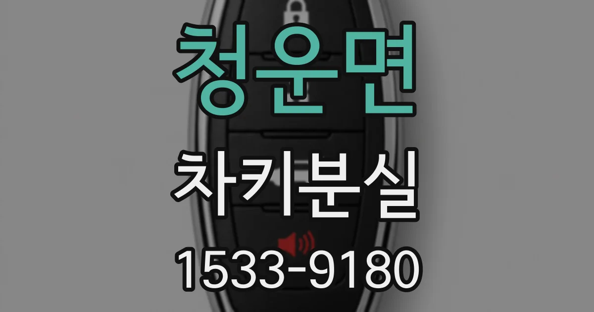 청운면 차키분실