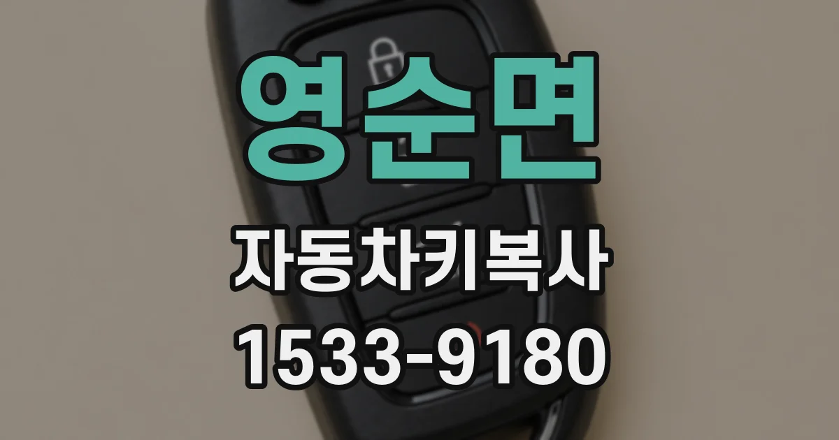 영순면 자동차키복사