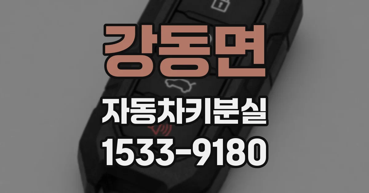 강동면 자동차키분실