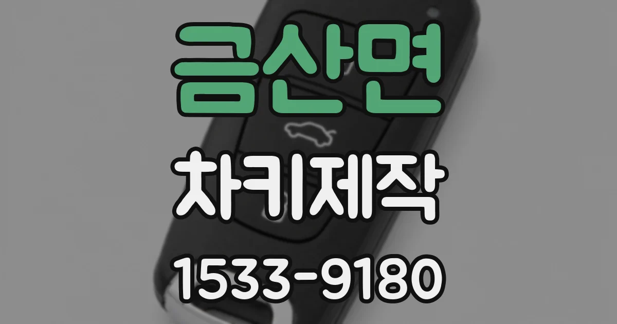 금산면 차키제작