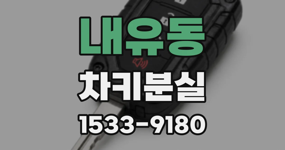 내유동 차키분실