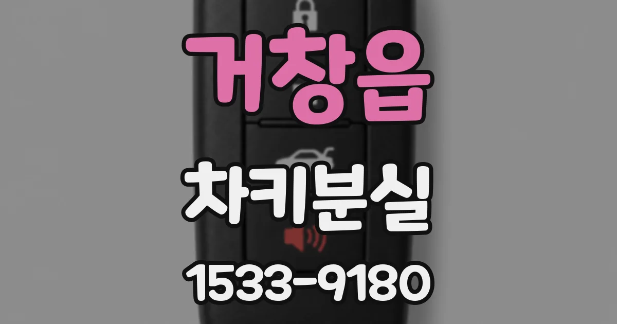 거창읍 차키분실