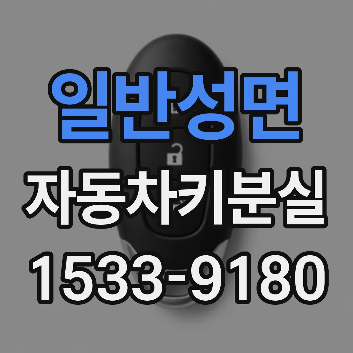 일반성면 자동차키분실