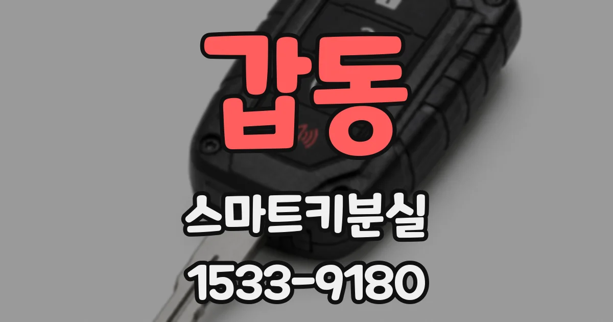 갑동 스마트키분실