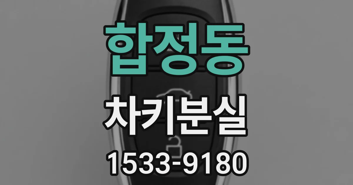 합정동 차키분실