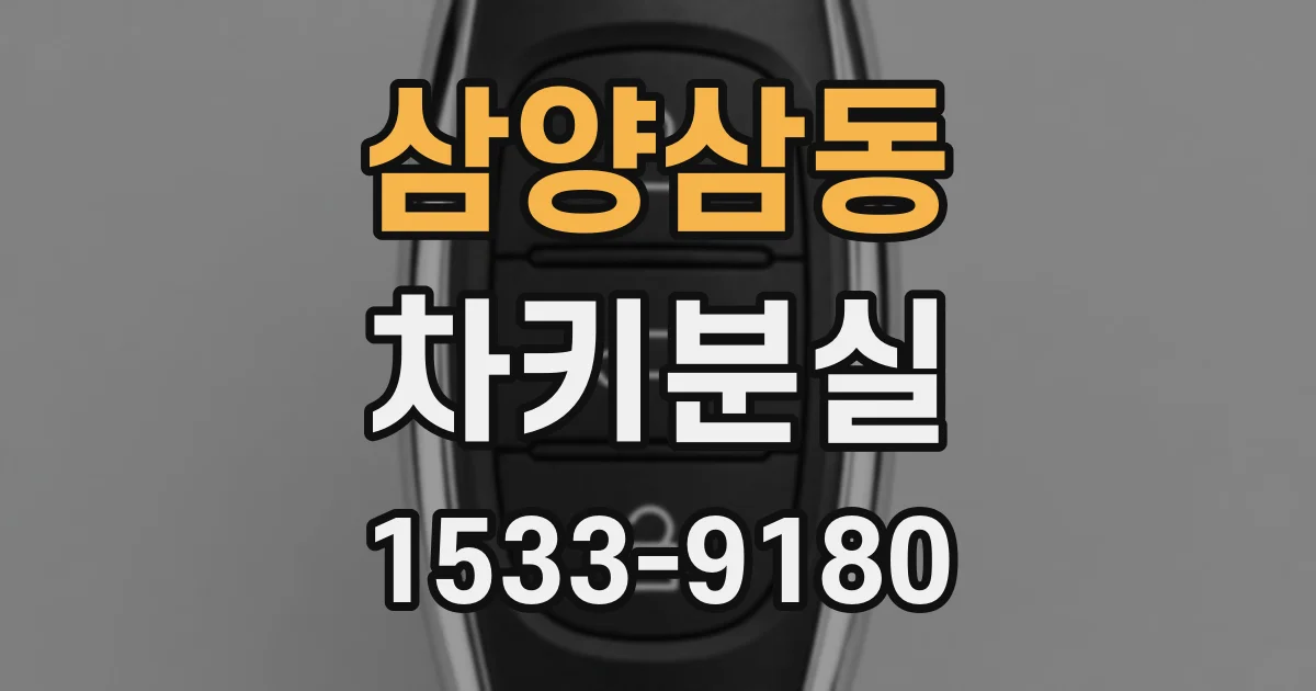 삼양삼동 차키분실