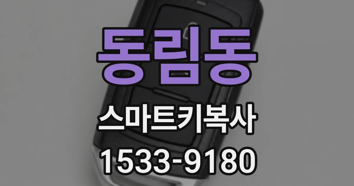 동림동 스마트키복사