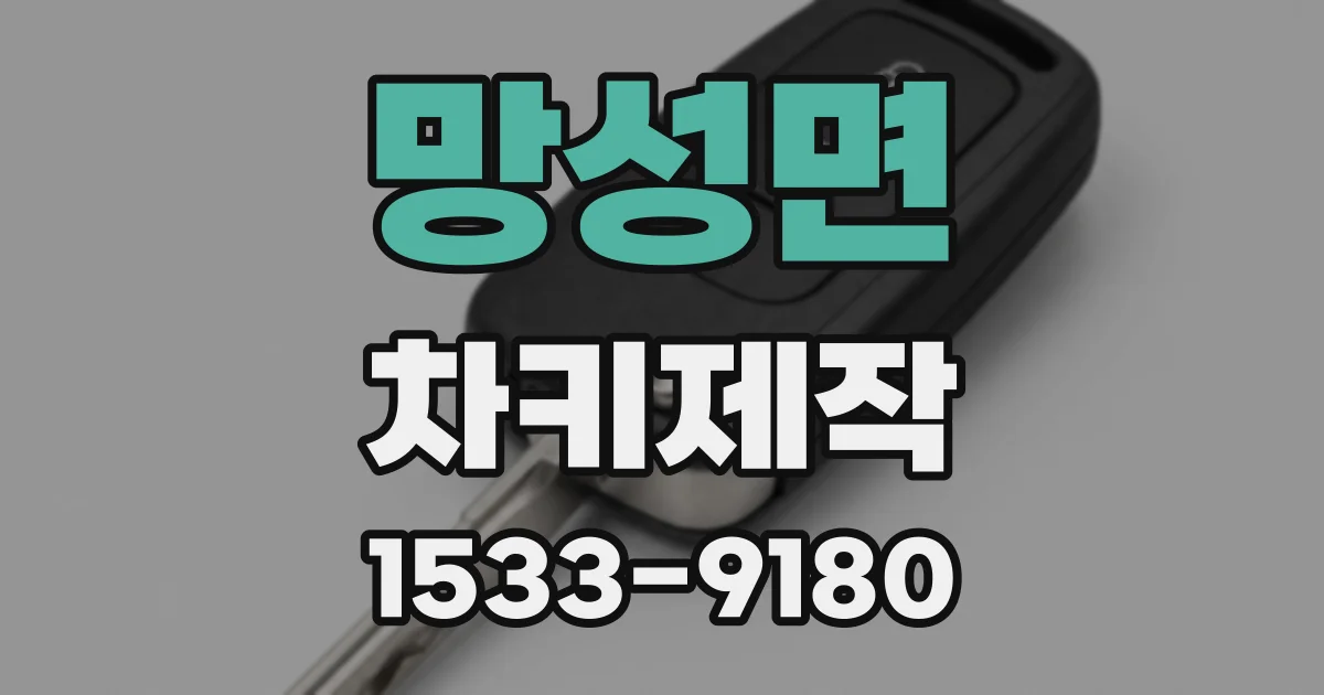 망성면 차키제작