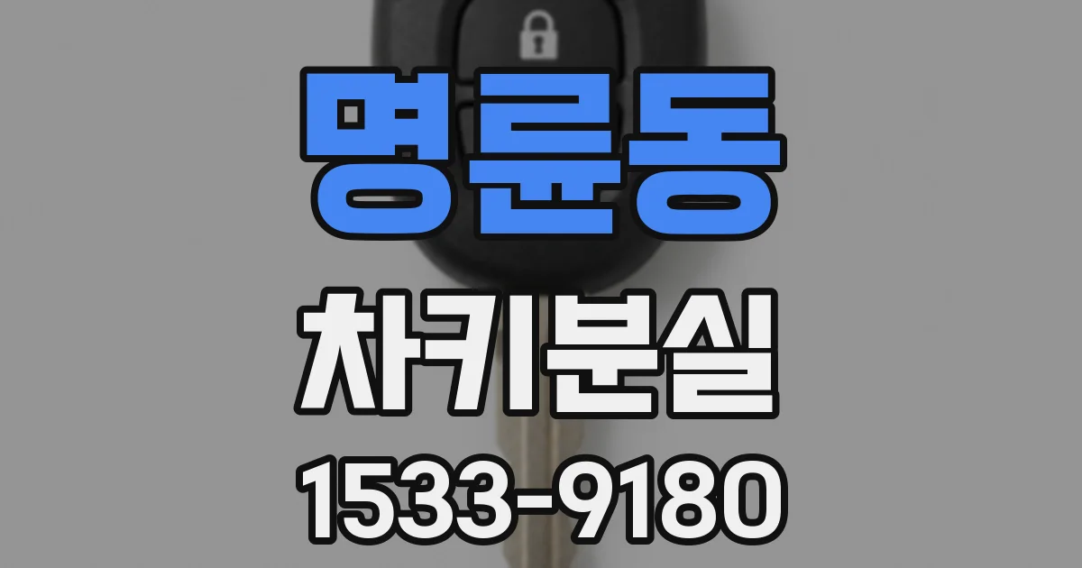 명륜동 차키분실
