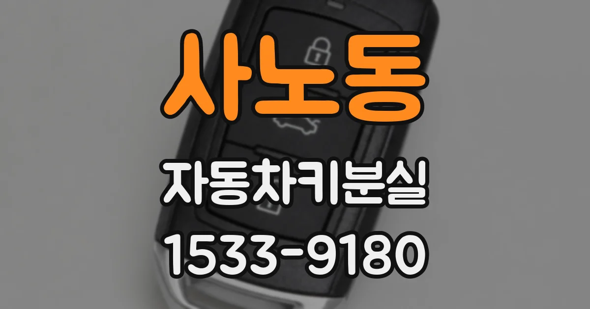 사노동 자동차키분실