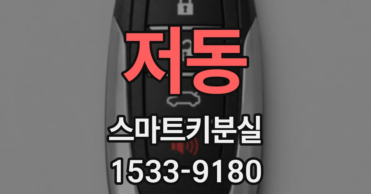저동 스마트키분실