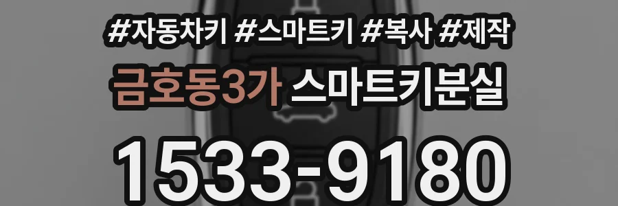 금호동3가 스마트키분실