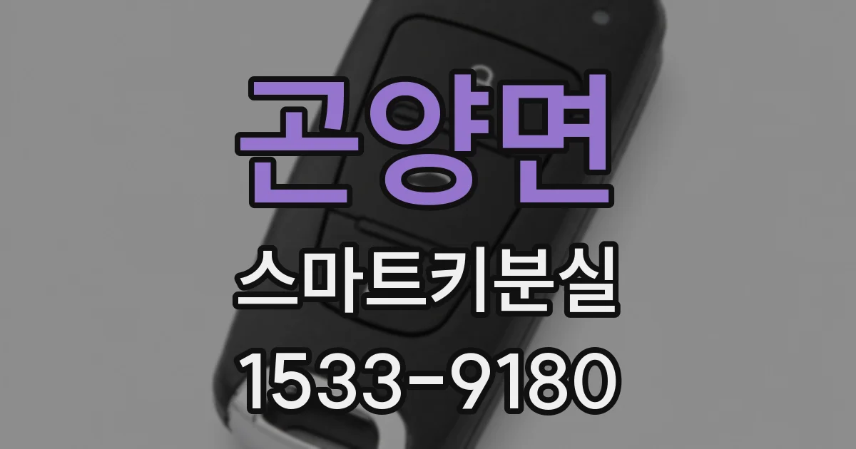 곤양면 스마트키분실