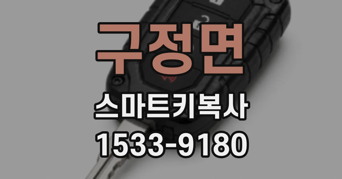 구정면 스마트키복사
