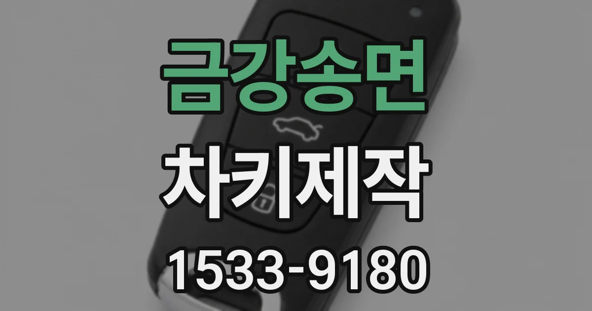 금강송면 차키제작