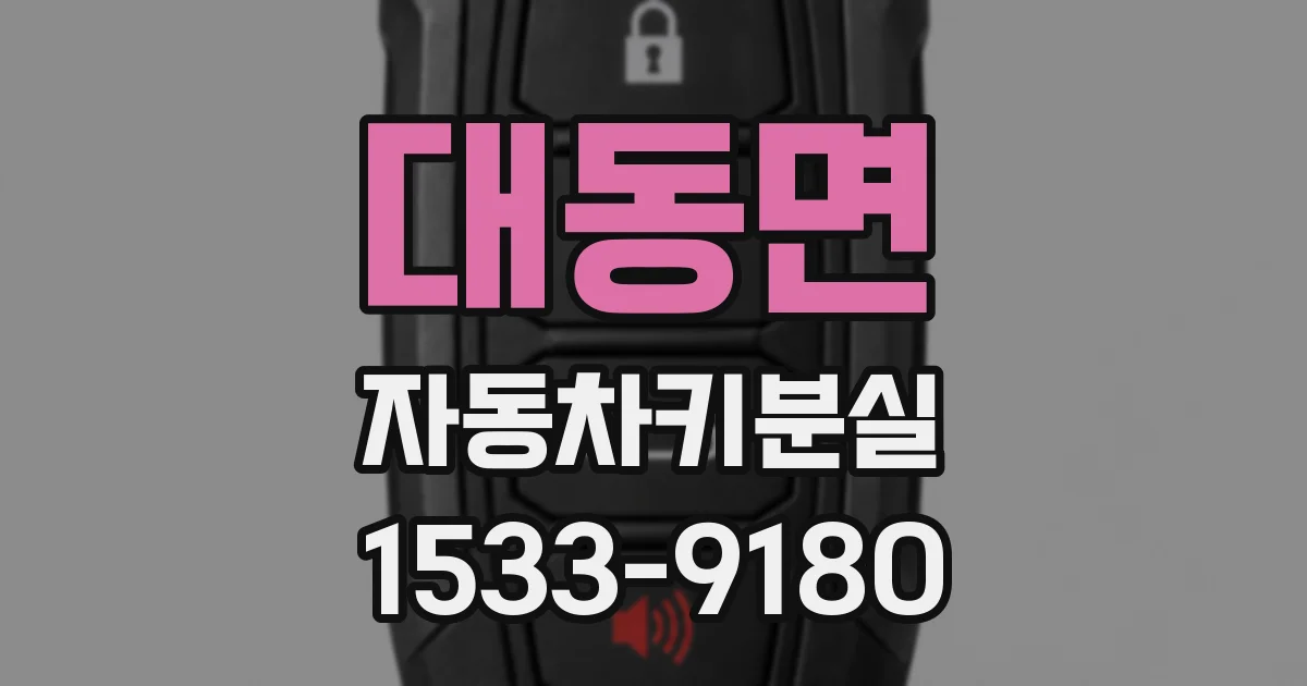대동면 자동차키분실