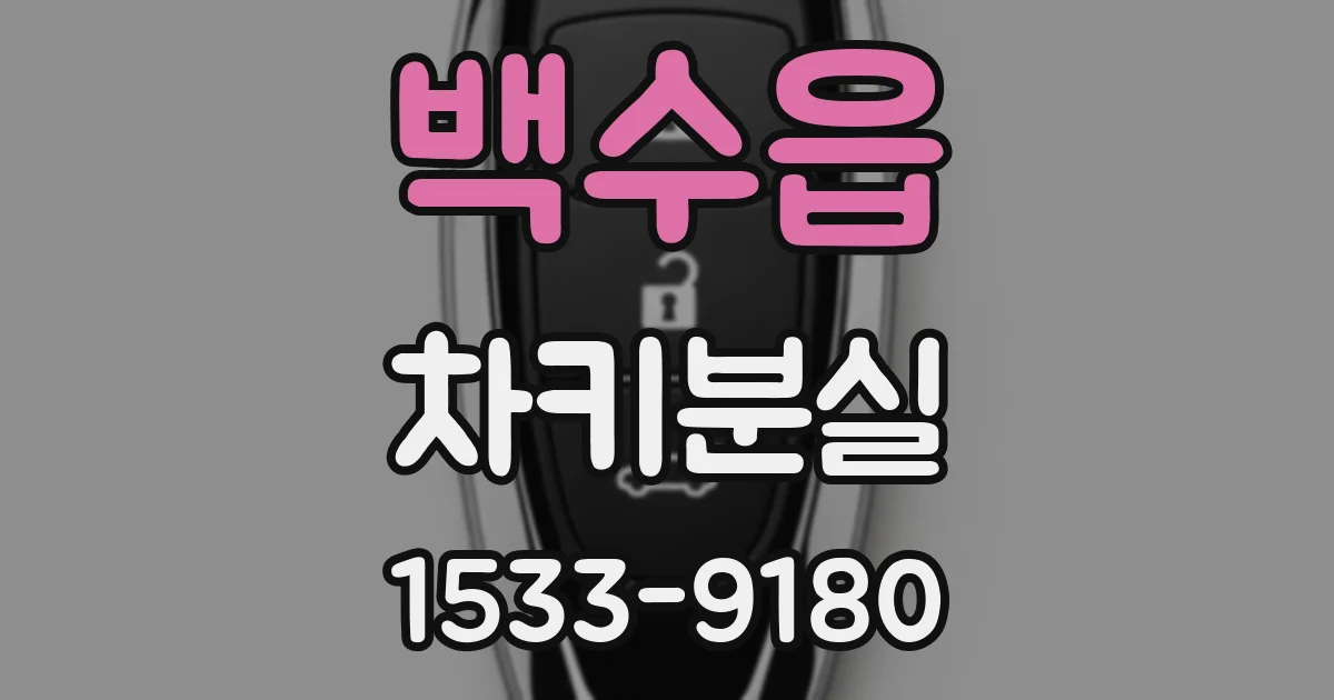 백수읍 차키분실