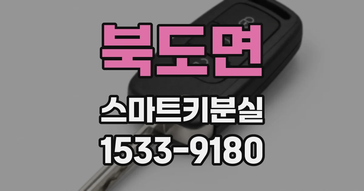 북도면 스마트키분실