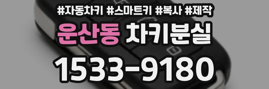 운산동 차키분실